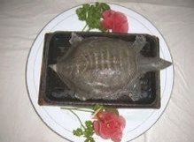 中国流传至今的十大禁菜有哪些？