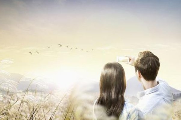 上门女婿小说王浩和李洁真的玩完了吗？