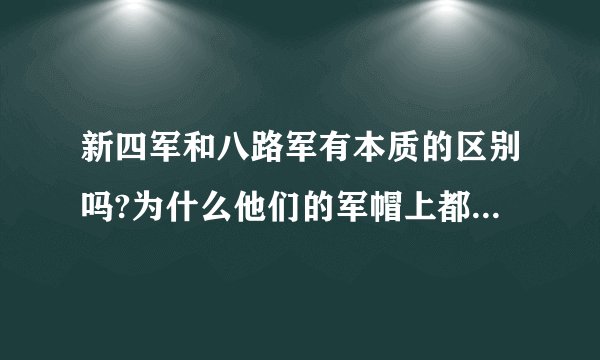 新四军和八路军有本质的区别吗?为什么他们的军帽上都是国民党的军徽?