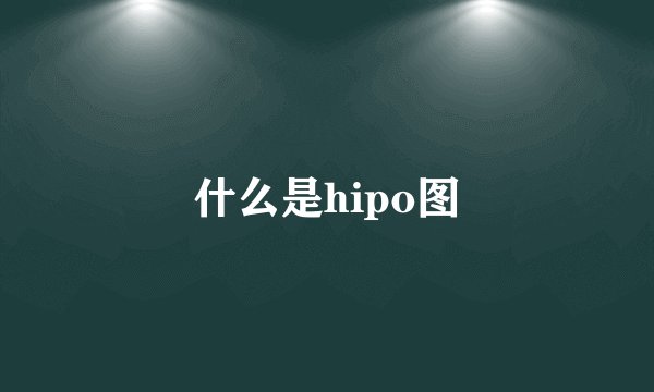 什么是hipo图