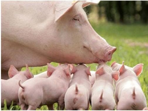 世界上最冷的冷笑话