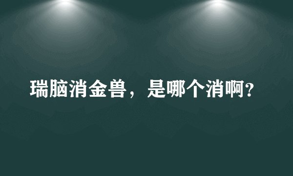 瑞脑消金兽，是哪个消啊？