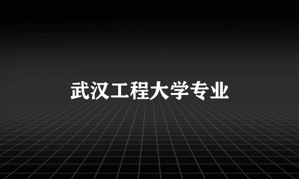 武汉工程大学专业