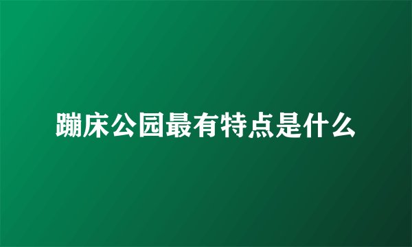 蹦床公园最有特点是什么