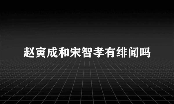 赵寅成和宋智孝有绯闻吗