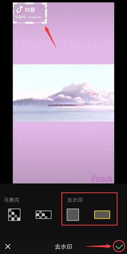 什么手机软件可以去除视频水印