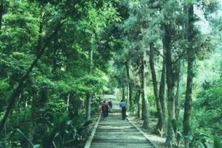 达州旅游景点大全