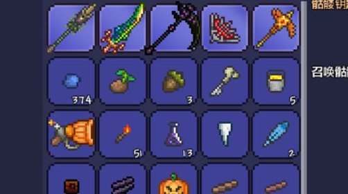 泰拉瑞亚pe最厉害的子弹是什么