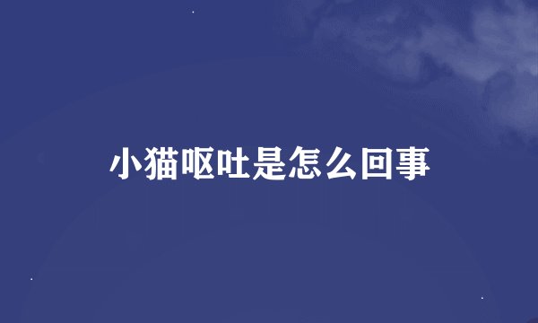 小猫呕吐是怎么回事