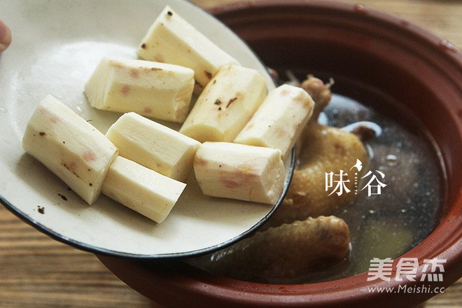 山药鸽子汤怎么炖最营养