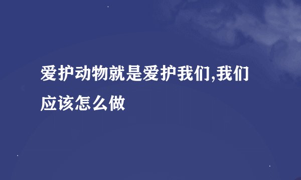 爱护动物就是爱护我们,我们应该怎么做