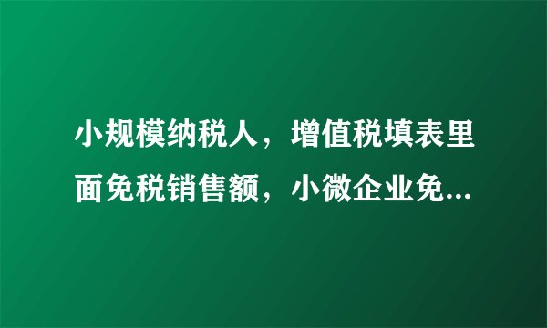 小规模纳税人，增值税填表里面免税销售额，小微企业免税销售额，未起征点销售额，其他免税销售额，怎么填