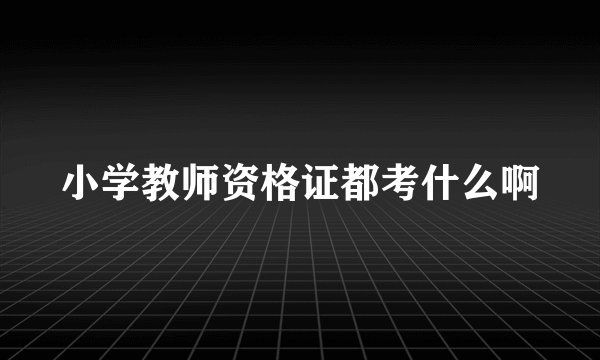 小学教师资格证都考什么啊