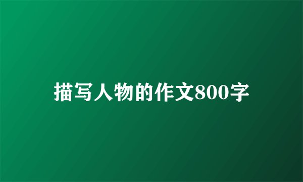 描写人物的作文800字