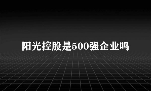 阳光控股是500强企业吗