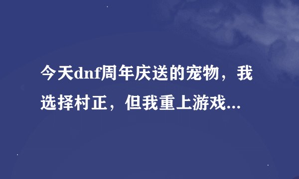今天dnf周年庆送的宠物，我选择村正，但我重上游戏后，宠物消失了，没有这个宠物了，求解?