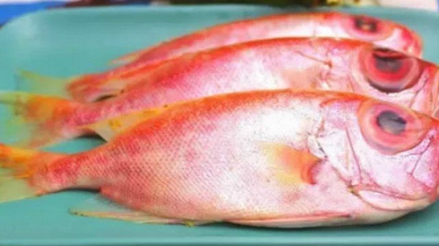 大眼鲷怎么做好吃