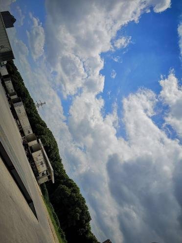 我是残疾人在公司上班，2019年个人工资薪金所得税怎样减免，