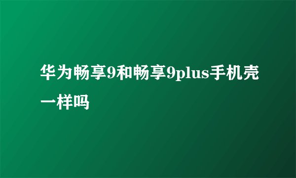 华为畅享9和畅享9plus手机壳一样吗