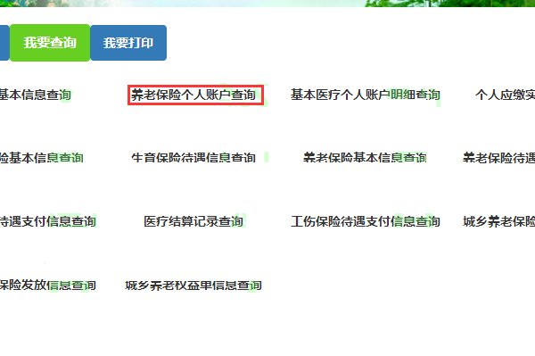 甘肃养老保险查询个人账户查询怎么查