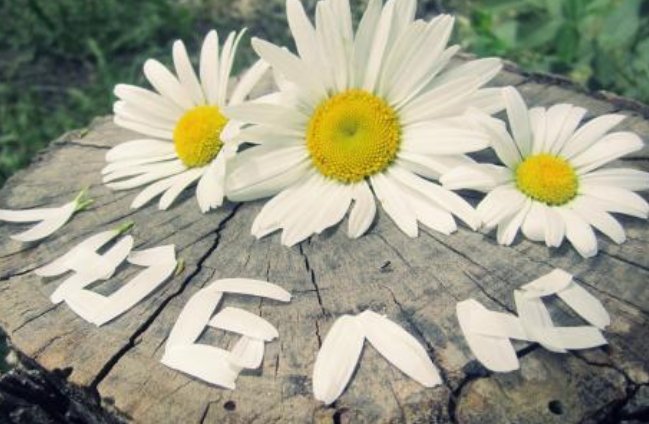 逗比点三个好基友的网名