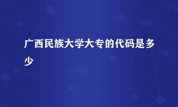 广西民族大学大专的代码是多少