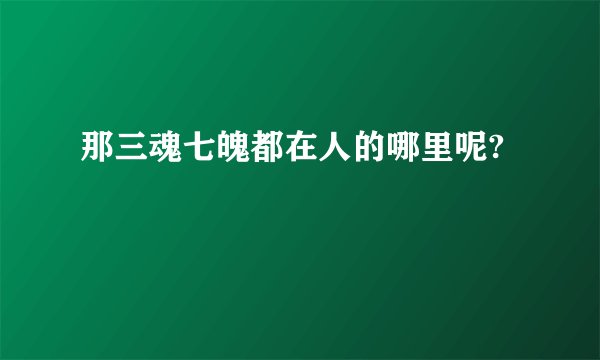 那三魂七魄都在人的哪里呢?