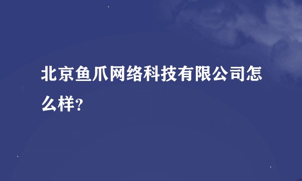 北京鱼爪网络科技有限公司怎么样？
