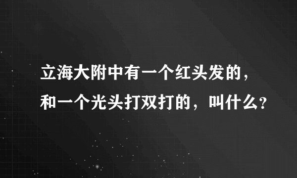 立海大附中有一个红头发的，和一个光头打双打的，叫什么？