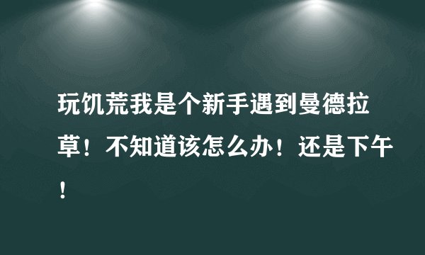 玩饥荒我是个新手遇到曼德拉草！不知道该怎么办！还是下午！