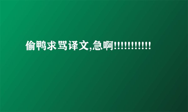 偷鸭求骂译文,急啊!!!!!!!!!!!