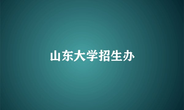 山东大学招生办