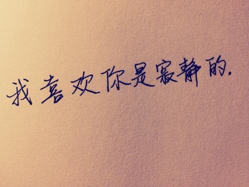 《我喜欢你是寂静的》中英文翻译