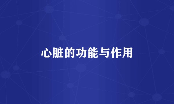 心脏的功能与作用