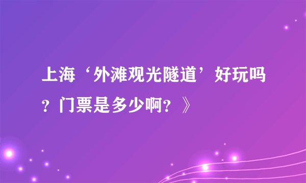 上海‘外滩观光隧道’好玩吗？门票是多少啊？》