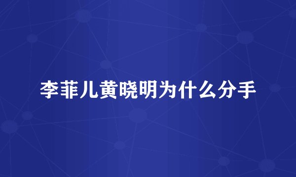 李菲儿黄晓明为什么分手