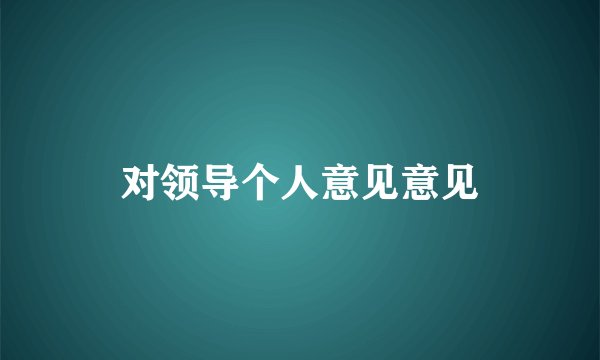 对领导个人意见意见