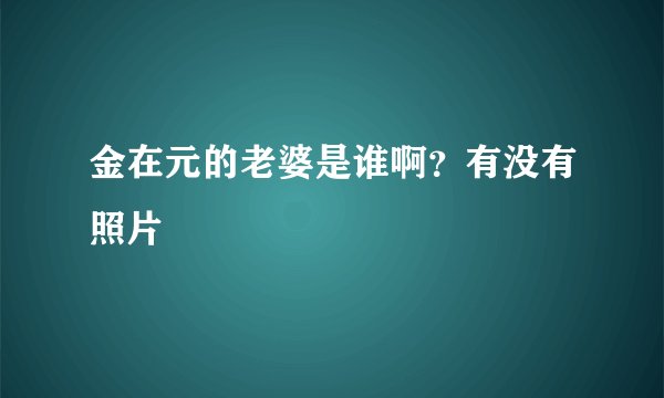 金在元的老婆是谁啊？有没有照片