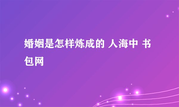 婚姻是怎样炼成的 人海中 书包网