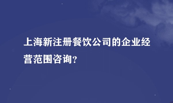 上海新注册餐饮公司的企业经营范围咨询？