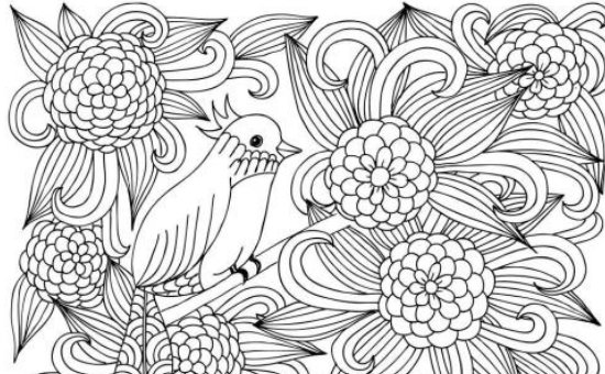 黑白画，求简单好看的