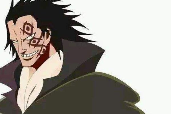 海贼王风风果实有什么能力啊？