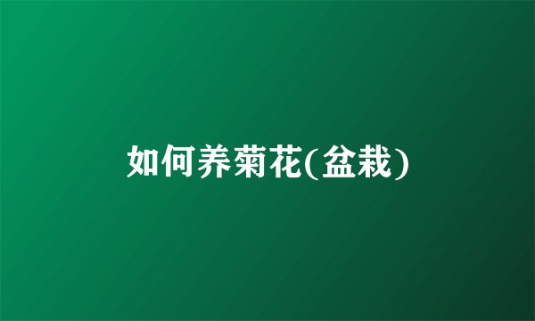 如何养菊花(盆栽)