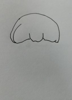 如何女孩简笔画漂亮可爱