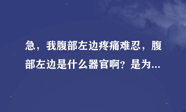 急，我腹部左边疼痛难忍，腹部左边是什么器官啊？是为什么啊？怎么才可以不疼啊？