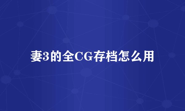 妻3的全CG存档怎么用