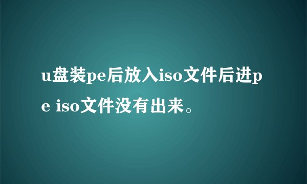 u盘装pe后放入iso文件后进pe iso文件没有出来。