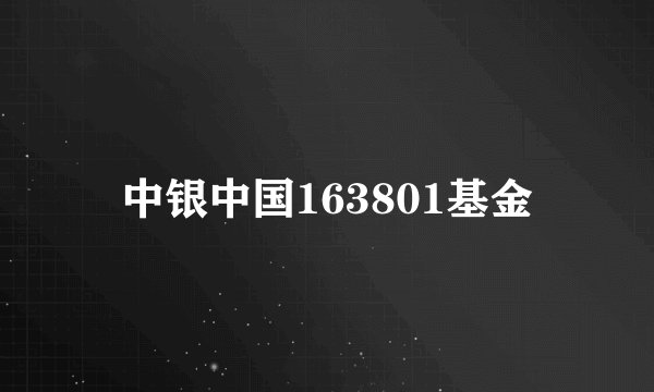 中银中国163801基金
