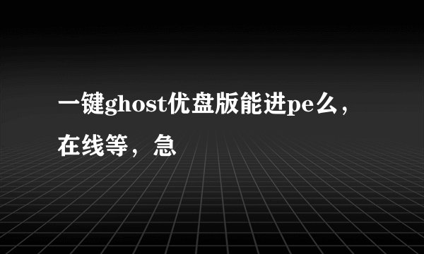 一键ghost优盘版能进pe么，在线等，急