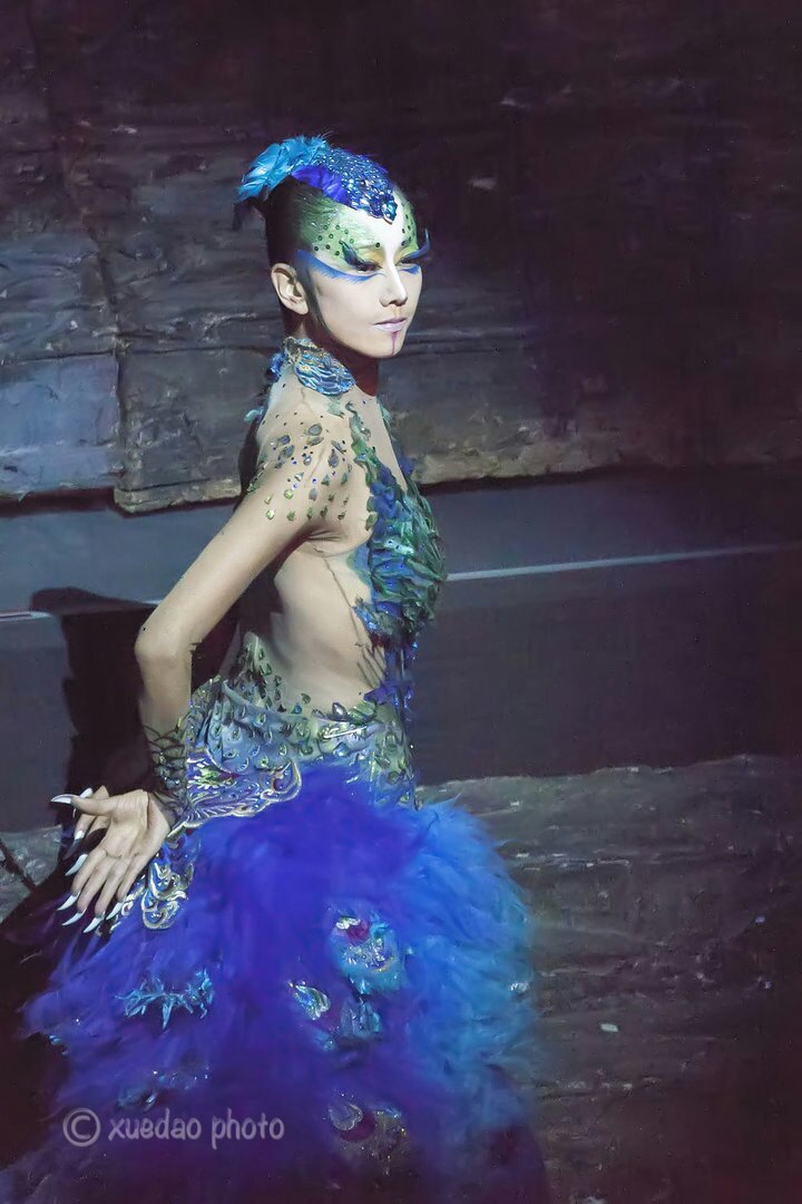 杨丽萍孔雀舞图片